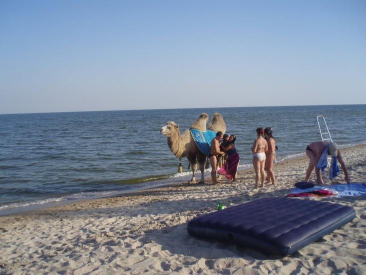 Білосарайська Коса з panoramio.com - Белосарайская Коса