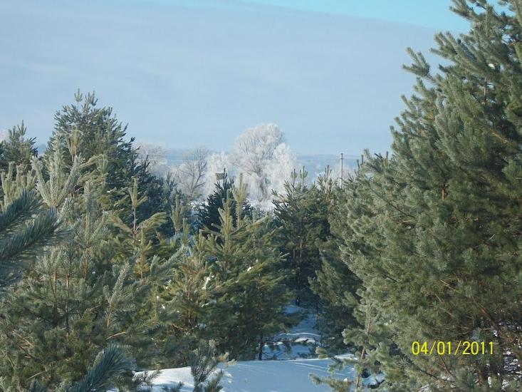 Райгородок з panoramio.com - Raygorodok