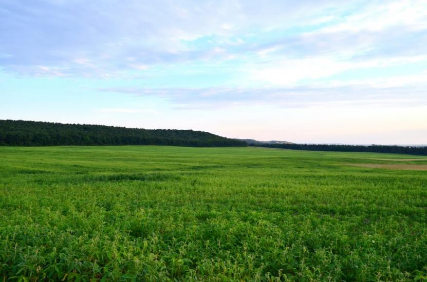 Колоденка з panoramio.com - Колоденка