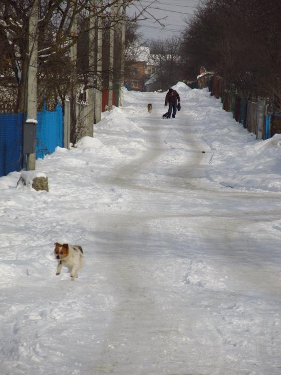 Ставчани з panoramio.com - Ставчани