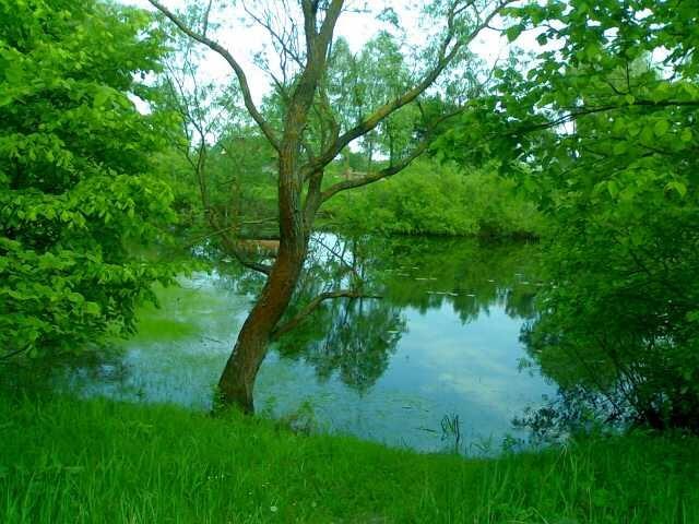 Соболівка з panoramio.com - Соболевка