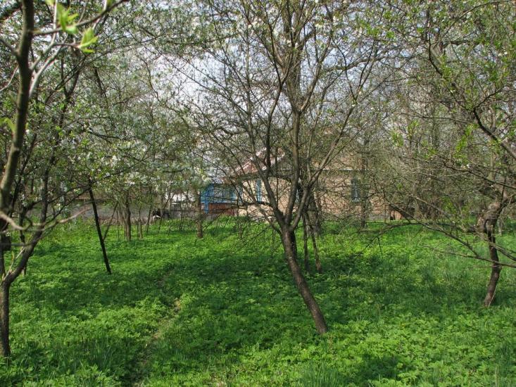 Ступно з panoramio.com - Ступно