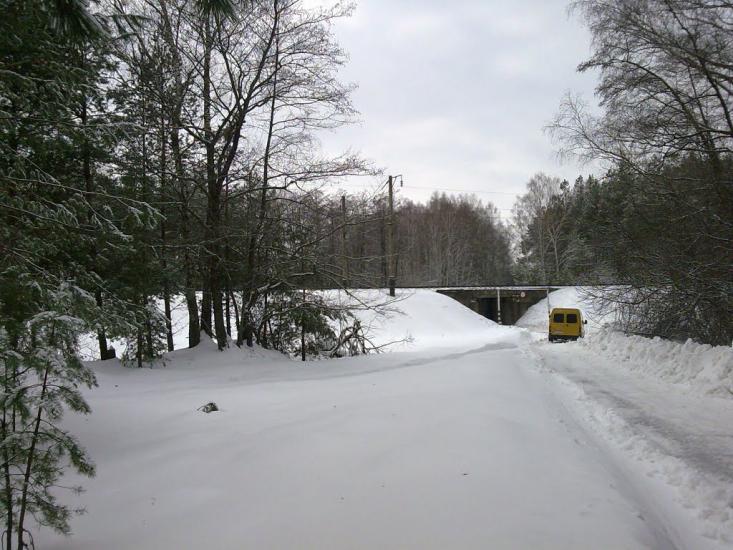 Луч з panoramio.com - Luch