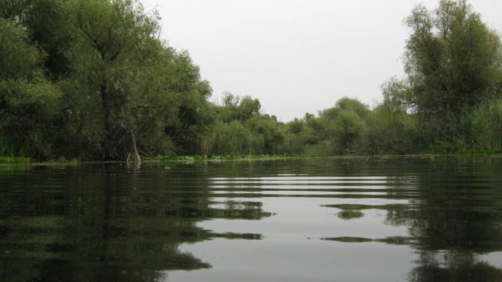 Новосільське з panoramio.com - Novosilske