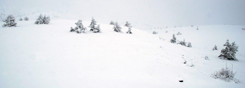 Запрудне з panoramio.com - Запрудне