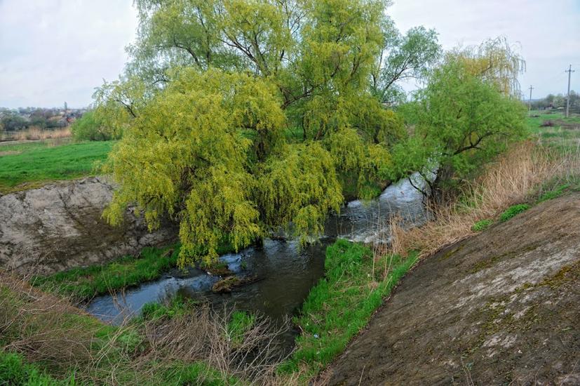 Верхньоторецьке з panoramio.com - Верхньоторецьке