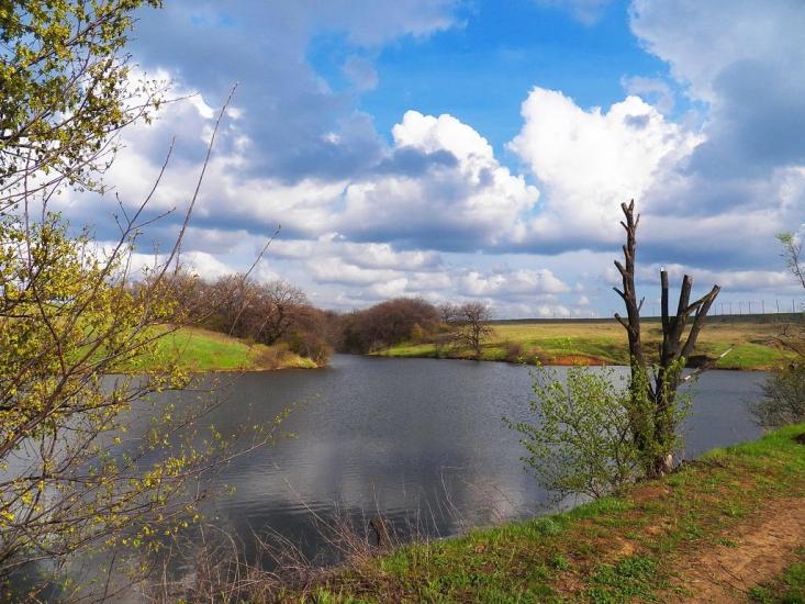Булавинське з panoramio.com - Булавинське