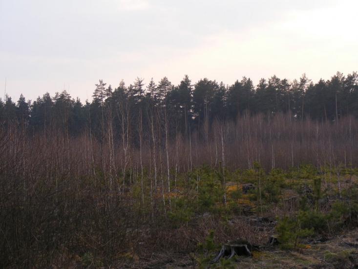 Кузьки з panoramio.com - Кузьки