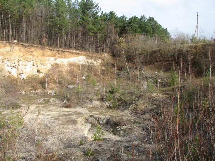 Вербка з panoramio.com - Вербка