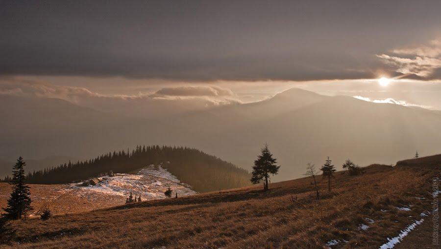 Вороненко з panoramio.com - Вороненко