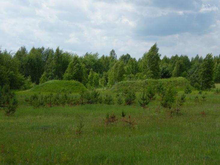 Тулія з panoramio.com - Тулія