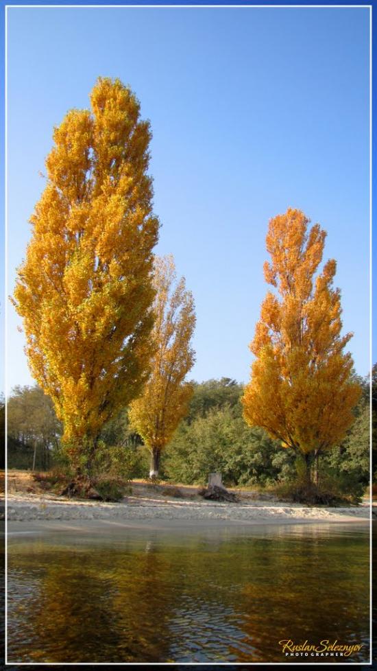 Кам'янка-Дніпровська з panoramio.com - Каменка-Днепровская