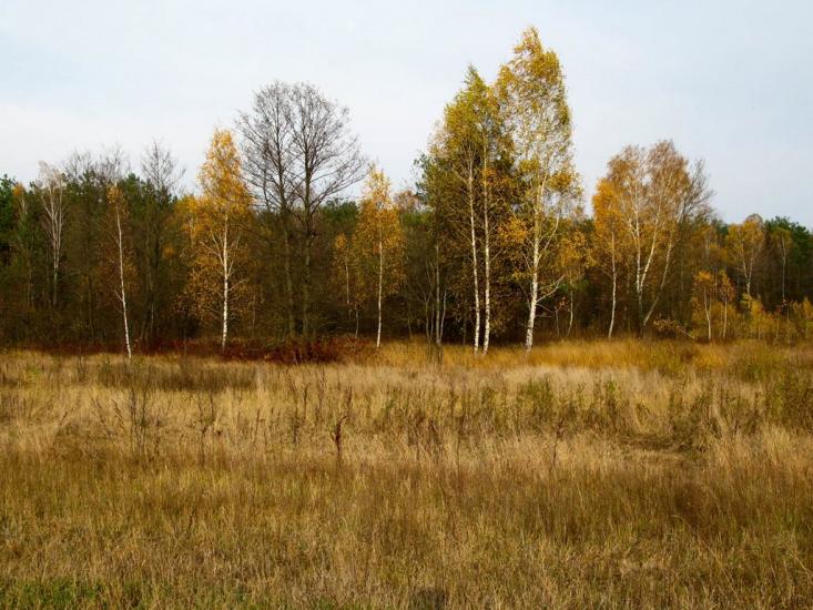 Тепениця з panoramio.com - Тепениця