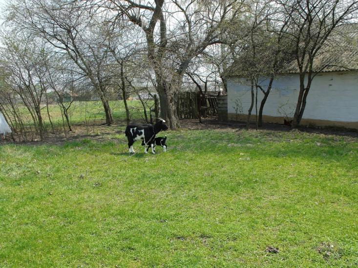 Дешки з panoramio.com - Дешки