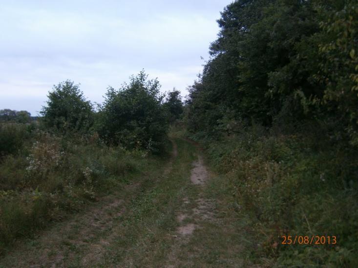 Берездівці з panoramio.com - Берездівці