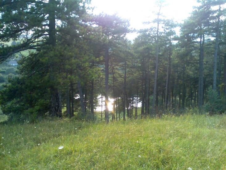 Блищанівка з panoramio.com - Блещановка