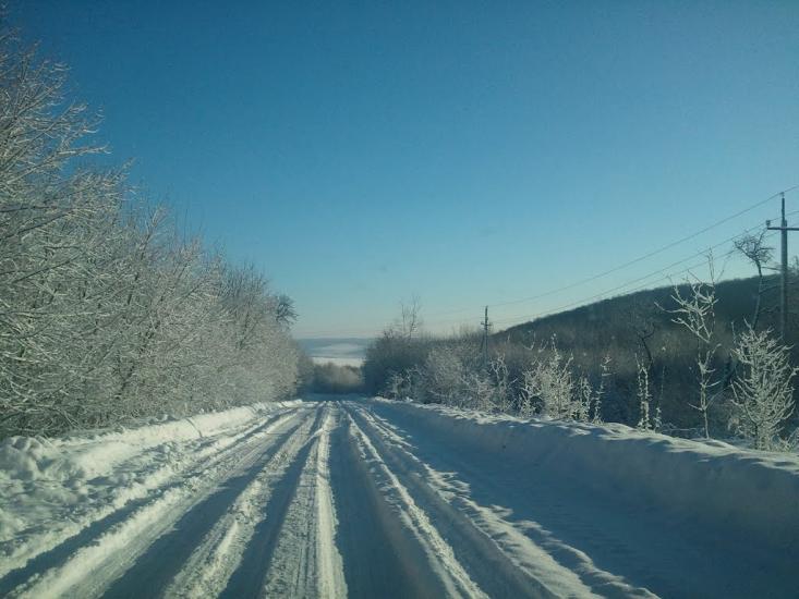 Квіткове з panoramio.com - Квіткове