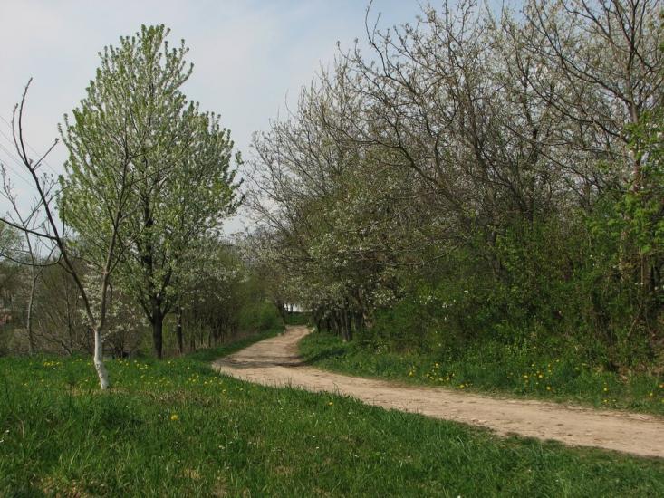 Ступно з panoramio.com - Ступно