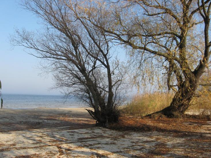 Леськи з panoramio.com - Леськи