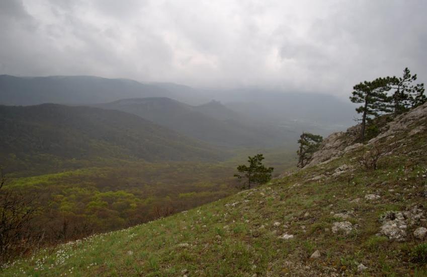 Лісне з panoramio.com - Лісне