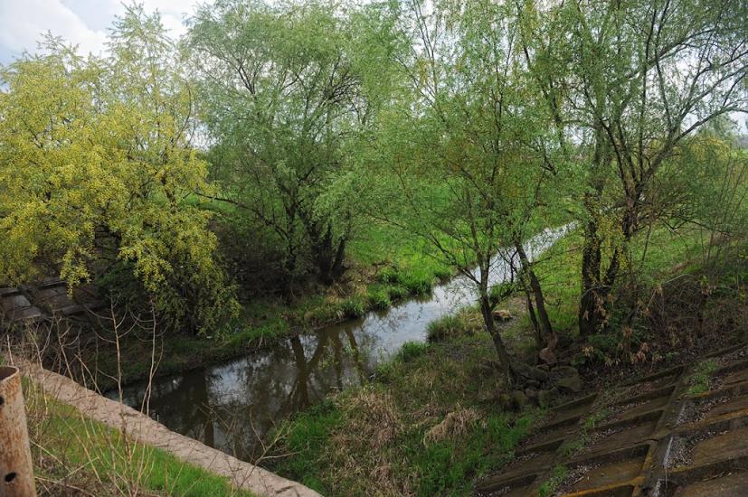 Верхньоторецьке з panoramio.com - Верхньоторецьке
