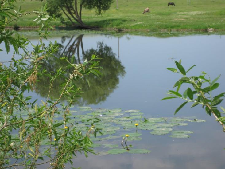 Клубівка з panoramio.com - Клубівка