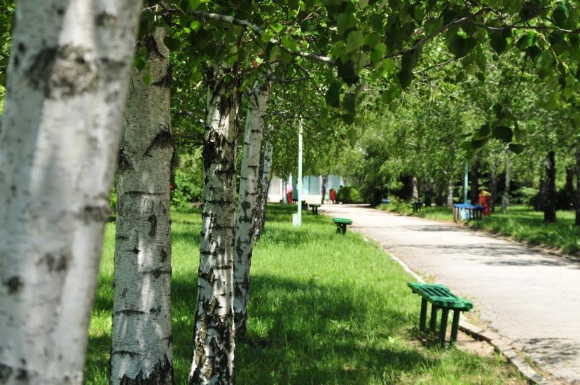 Сергіївка з panoramio.com - Сергіївка