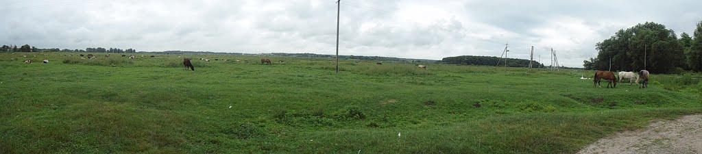 Білогір'я з panoramio.com - Білогір'я