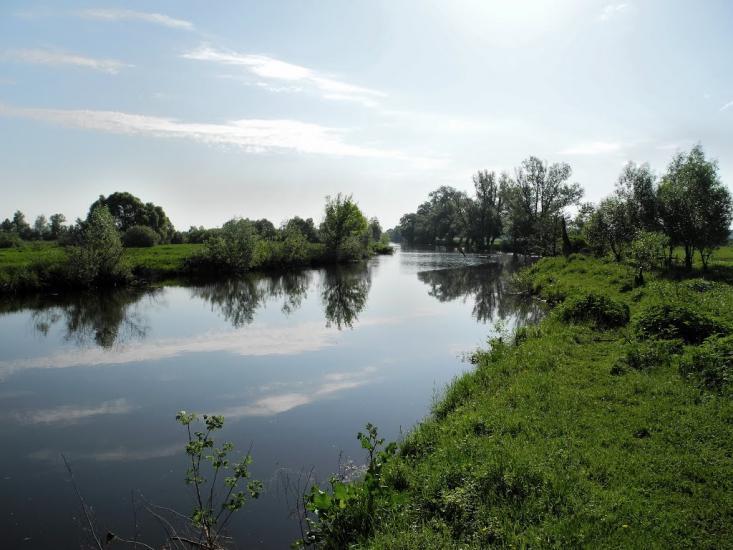 Литвиновичі з panoramio.com - Литвиновичи