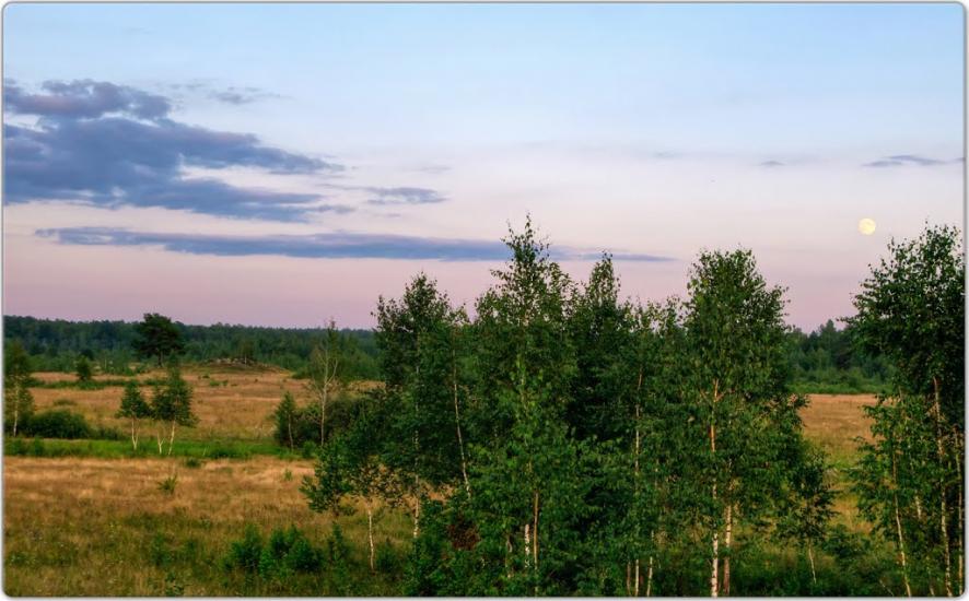 Тепениця з panoramio.com - Tepenytsya