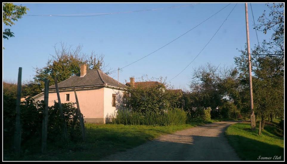 Астей з panoramio.com - Астей