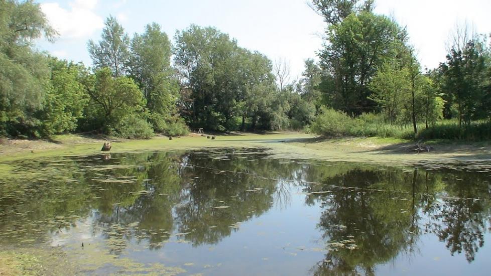 Остап'є з panoramio.com - Остапье