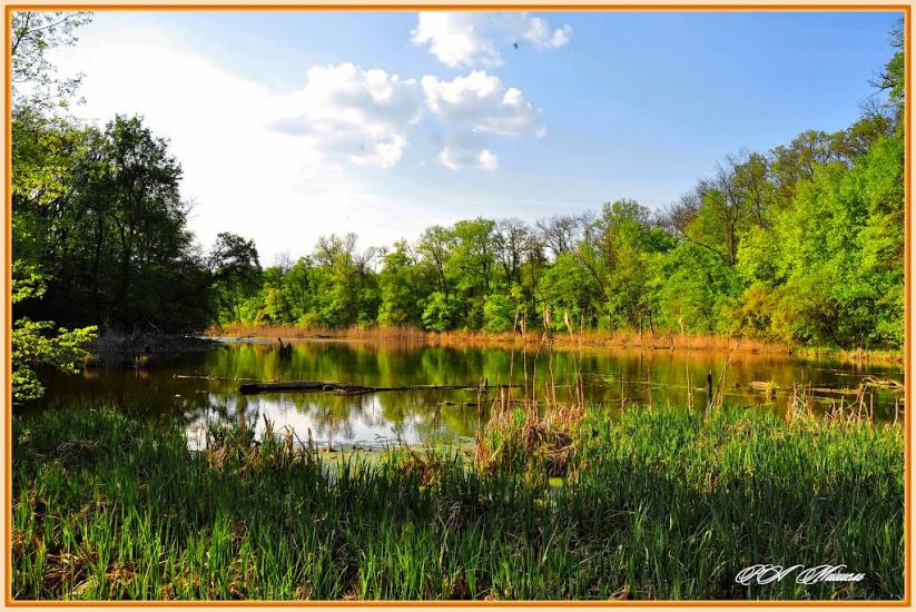 Серебрянка з panoramio.com - Serebryanka