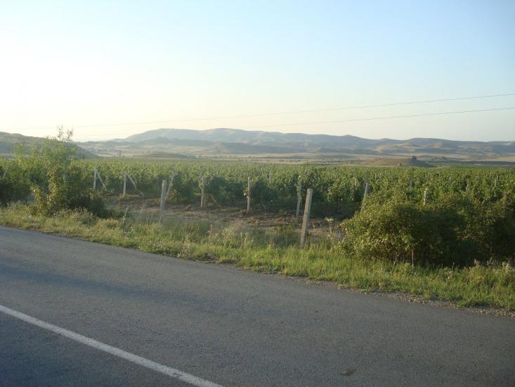 Багатівка з panoramio.com - Богатовка