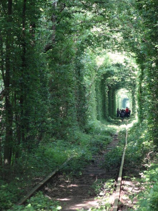 Клевань з panoramio.com - Klevan