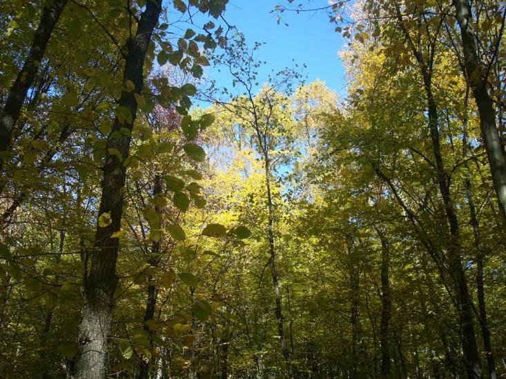 Красилів з panoramio.com - Красилов