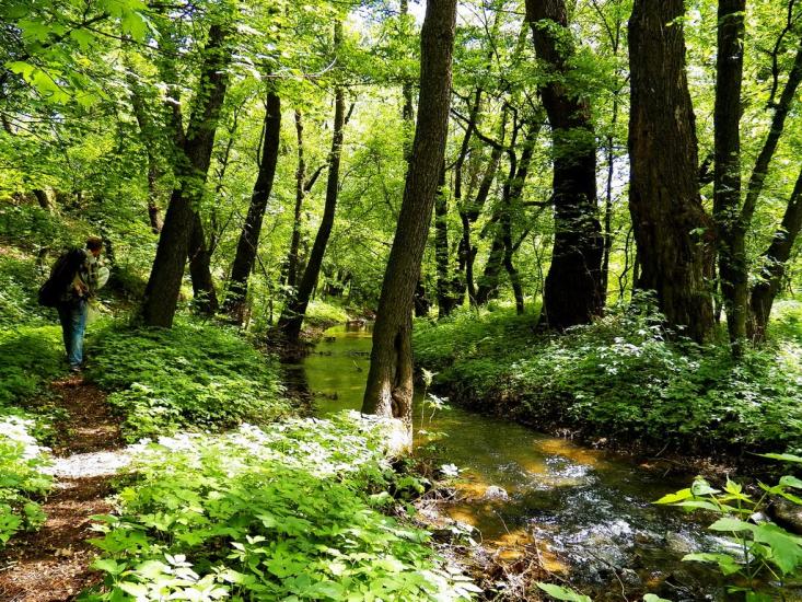 Олександрівське з panoramio.com - Олександрівське