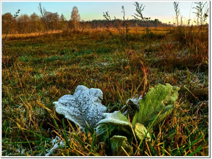 Тепениця з panoramio.com - Tepenytsya