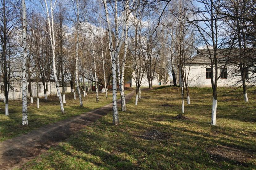 Стрілеча з panoramio.com - Strilecha