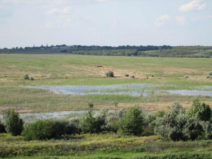 Єлизаветівка з panoramio.com - Єлизаветівка