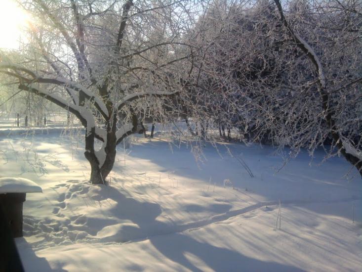 Острів з panoramio.com - Острів