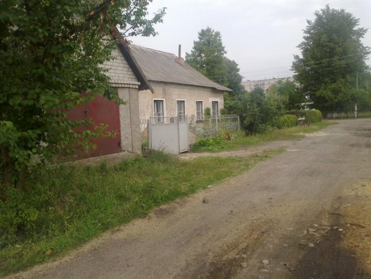 Нова Борова з panoramio.com - Новая Боровая