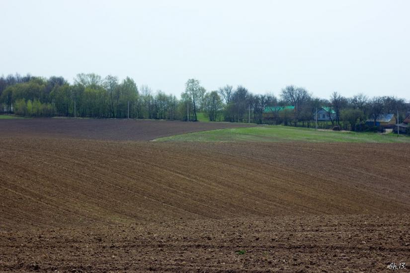 Заріцьк з panoramio.com - Зарецк