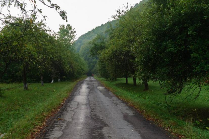 Чорноголова з panoramio.com - Черноголова