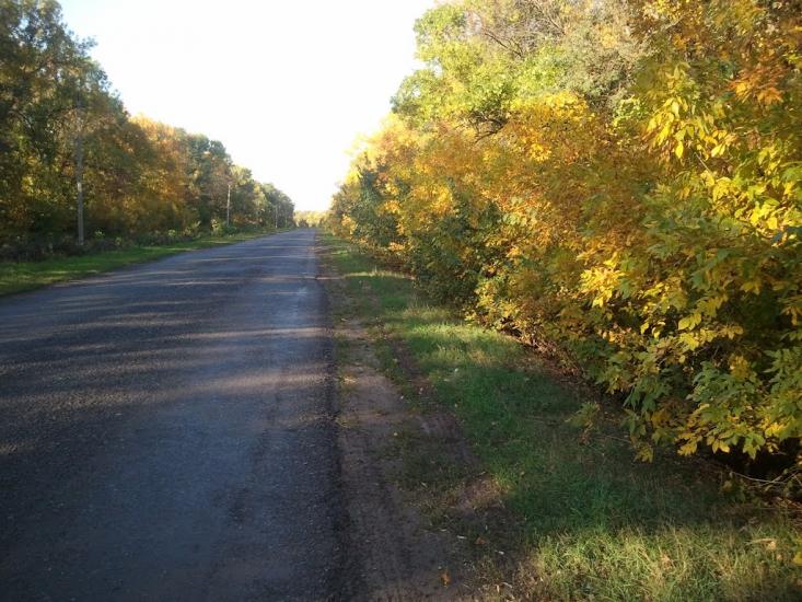 Вільшана з panoramio.com - Вільшана