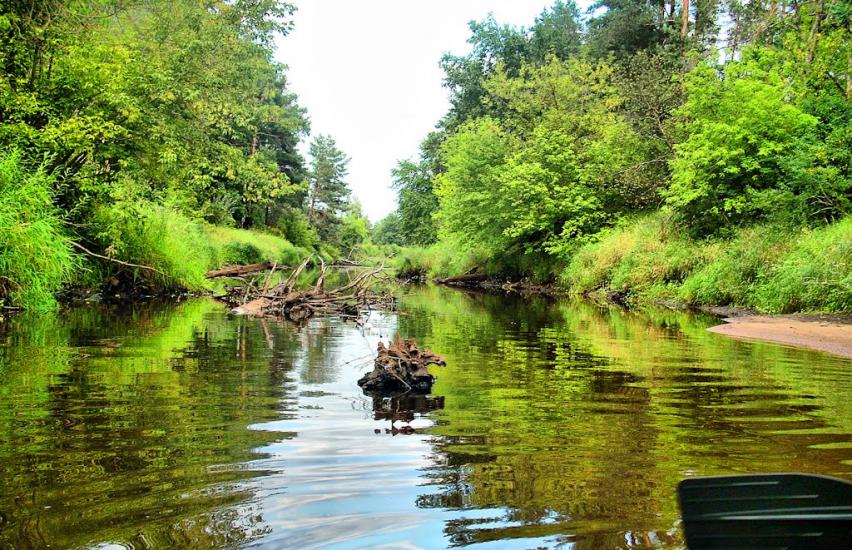 Хмелівка з panoramio.com - Khmelivka