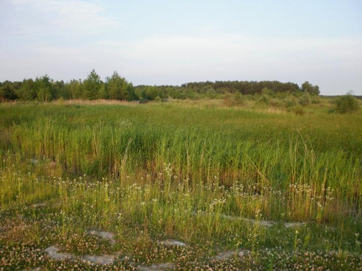 Римачі з panoramio.com - Рымачи