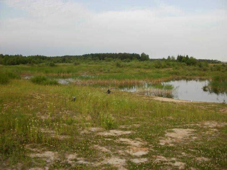 Римачі з panoramio.com - Рымачи