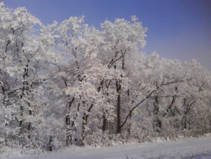 Василівка з panoramio.com - Василевка