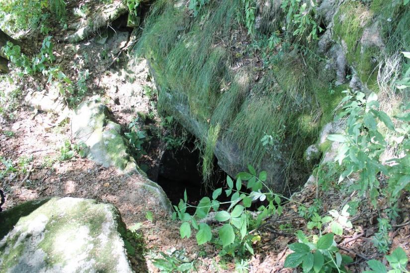 Княгиня з panoramio.com - Княгиня